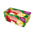 16X100Gr Pomme Nat Brd Andros