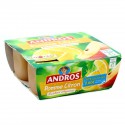 Andros Pomme Citron 4X100G