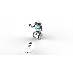 Mini Mip R/C