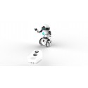 Mini Mip R/C
