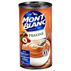 570G Creme Dessert Praline Mont Blanc