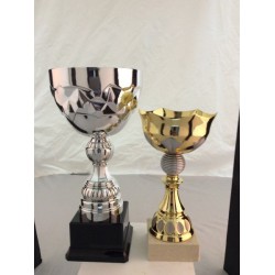 2 Coupes Sportives 23+29Cm
