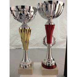 2 Coupes Sportives 30+32 Cm