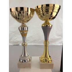 2 Coupes Sportives 29+30 Cm