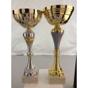 2 Coupes Sportives 29+30 Cm