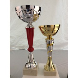 2 Coupes Sportives 24+30 Cm