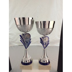 2 Coupes Sportives 30+32 Cm