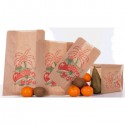 1000 Sacs F&L Kraft 20X9X35 Bt