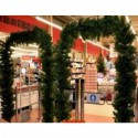 Arche En Sapin
