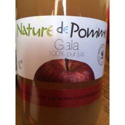 Nature De Pommes Gala 1L