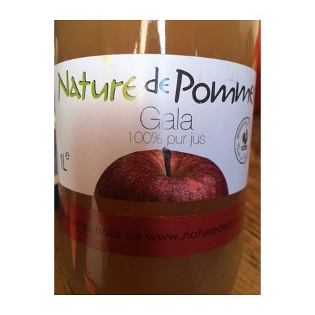 Nature De Pommes Gala 1L
