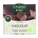 300G Glace Bio Chocolat L.Ange