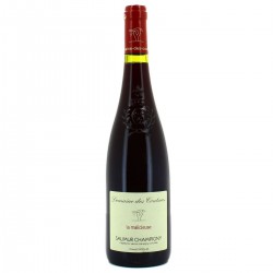 Saumur Champigny Domaine Des Coutures 2014 M.Arg 15
