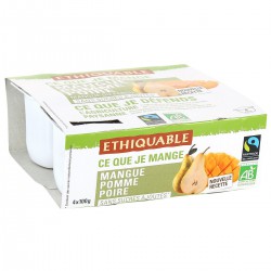 4X100G Dessert Mangue Bio Ethiquable