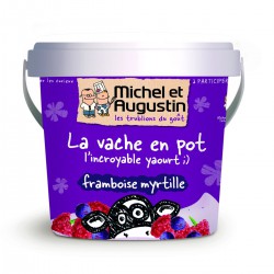 500G Yaourt Framboise/Myrtille Michel & Augustin