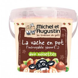 500G Yaourt Noisettes Michel & Augustin