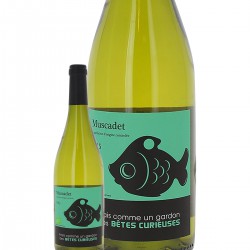 Muscadet Sèvre Et Maine Frais Comme Un Gardon Blanc 2016