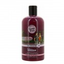 Energie Fruit Dch Passion 500M