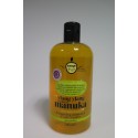 500Ml Sh.Ch.Sec Ylang/M.Energ.