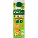 1L Pj Bio Orange Mand. Cidou