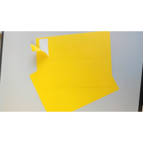 2800 Etiq.Adhesiv Jaune Drive