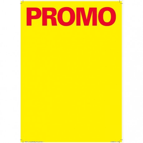 100 Affiches A4 Promo Netto