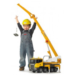 Cam Scania Grue Liebherr