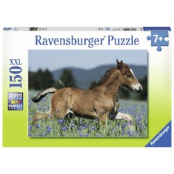 Coll-Puz. 150P Xxl Rav
