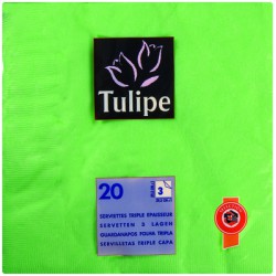 Top Filter Filtre Hotte 8024