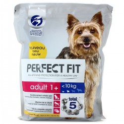 Perfect F Chien Sec Ad Plt1.4K