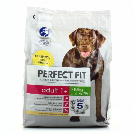 Perfect F Chien Sec Ad Plt2.6K