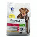 Perfect F Chien Sec Ad Plt2.6K