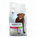 Perfect F Chien Adult-10K 6Kg