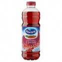Ocean Spray Cranber/Grenade 1L