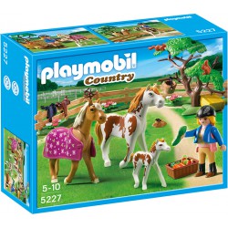 Playmo Chevaux Et Enclos