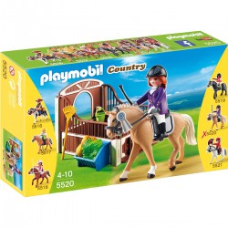 Cheval Warmblood Et Cavaliere
