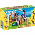 Cheval Warmblood Et Cavaliere