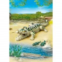 Playmo Alligator Avec Bebes