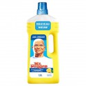 Mr Propre Nett Citr 1.25L
