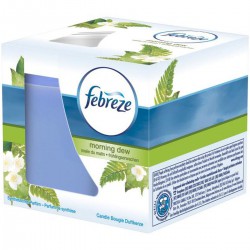 100G Bougie Rosee Du Matin Fbz