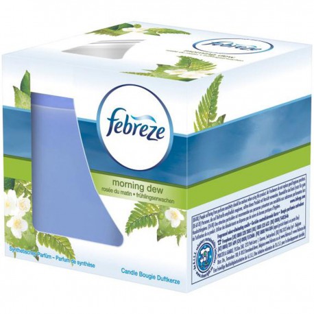 100G Bougie Rosee Du Matin Fbz