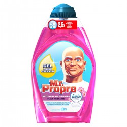 600Ml Gel Liquide Fleur Mr Propre