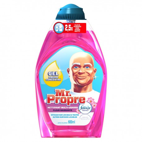 600Ml Gel Liquide Fleur Mr Propre