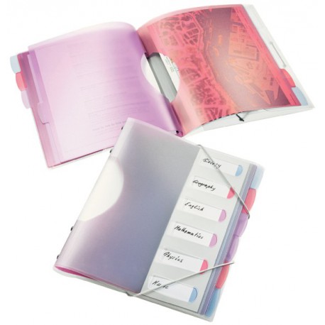 Esselte Trieur A4 6P. Solea