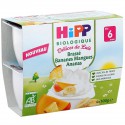 Hip Bras Ban Mng Ana 4X100G 6M