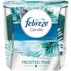 100G Bougies Vergers Febreze