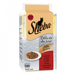 Sacht Fraic Delice Jr 50G X 6