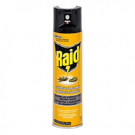 300Ml Aerosol Guepes Frelons Raid