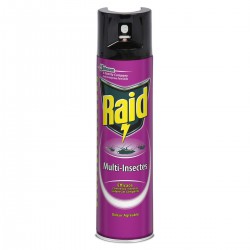 400Ml Aerosol Multi Insectes Raid
