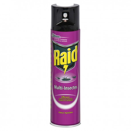 400Ml Aerosol Multi Insectes Raid